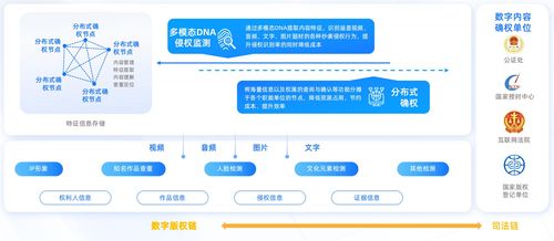 億邦智庫聯合螞蟻數科發布《數信共生 數字科技零售創新應用洞察報告》