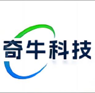 從計算機系統服務到人工智能 現代信息技術服務體系的全面解析